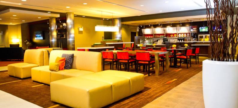 费城斯普林菲尔德庭院(Courtyard Philadelphia Springfield)图片