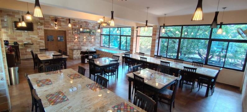 吉尔狮爪带泳池度假村(Gir Lions Paw Resort with Swimming Pool)图片