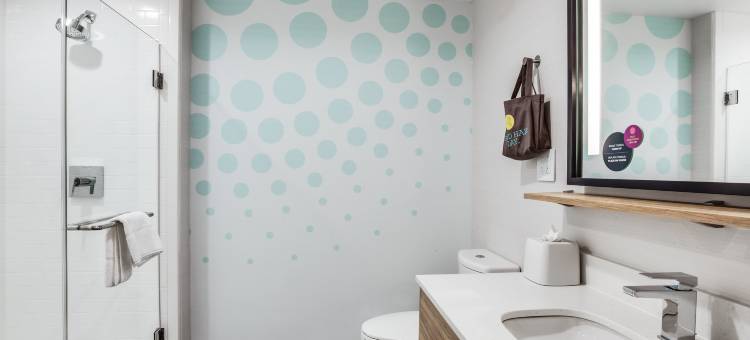 杰克逊维尔圣约翰镇中心希尔顿Tru酒店(Tru by Hilton Jacksonville St. Johns Town Center)图片