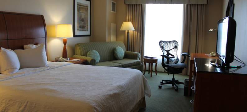 艾迪生希尔顿花园酒店(Hilton Garden Inn Addison)图片