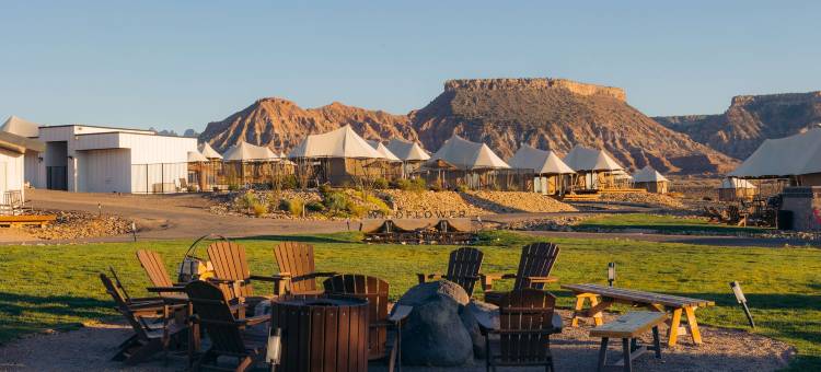 Zion Wildflower, BW Premier Collection图片