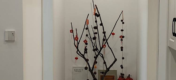 太湖游子民宿(金沙路分店)图片