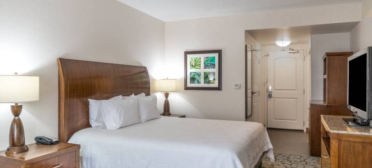 福吉谷橡树希尔顿花园酒店(Hilton Garden Inn Valley Forge/Oaks)图片