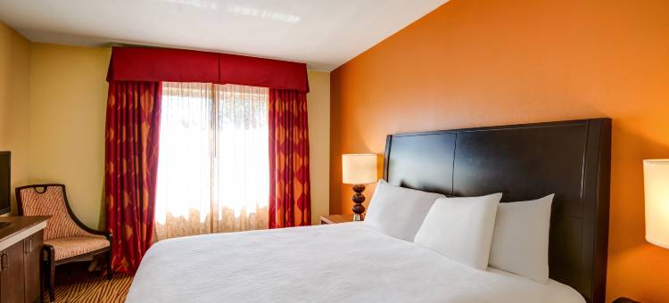 坦帕易勃尔历史区希尔顿花园酒店(Hilton Garden Inn Tampa Ybor Historic District)图片