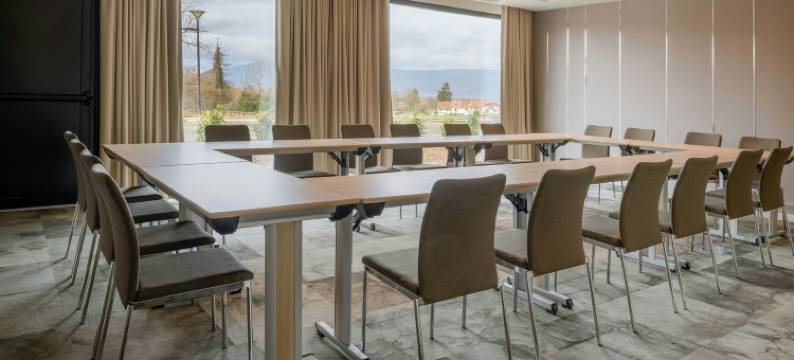 AC酒店-圣朱利安昂热讷瓦(AC Hotel Saint-Julien-en-Genevois)图片