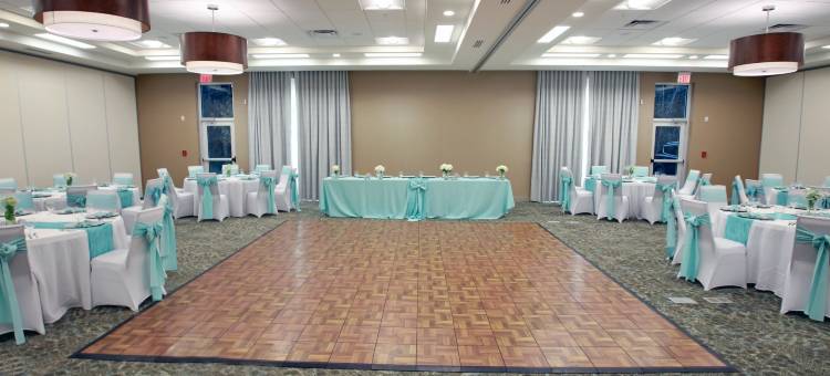 佛罗里达坦帕 - 韦斯利查普尔希尔顿花园酒店(Hilton Garden Inn Tampa - Wesley Chapel)图片