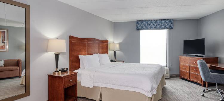 巴尔的摩白色沼泽欢朋旅馆(Hampton Inn Baltimore/White Marsh)图片