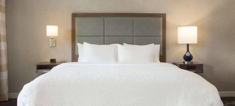 曼彻斯特 - 贝德福德希尔顿欢朋套房酒店(Hampton Inn & Suites Manchester-Bedford)图片