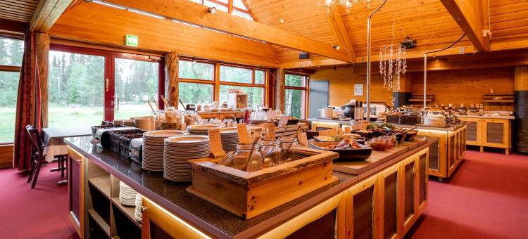 阿卡斯特里拉普兰酒店(Lapland Hotels Äkäshotelli)图片