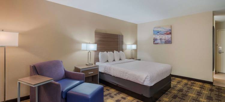 阿马多尔贝斯特韦斯特酒店(Best Western Amador Inn)图片