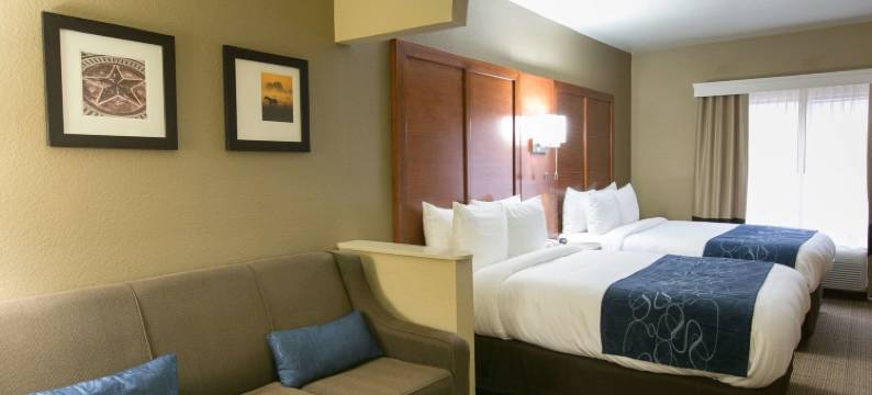 奥斯汀西北湖岸线舒适套房酒店(Comfort Suites Austin NW Lakeline)图片
