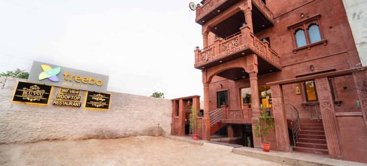 Treebo 蓝色 Vvu(Treebo Blu Vvu)图片