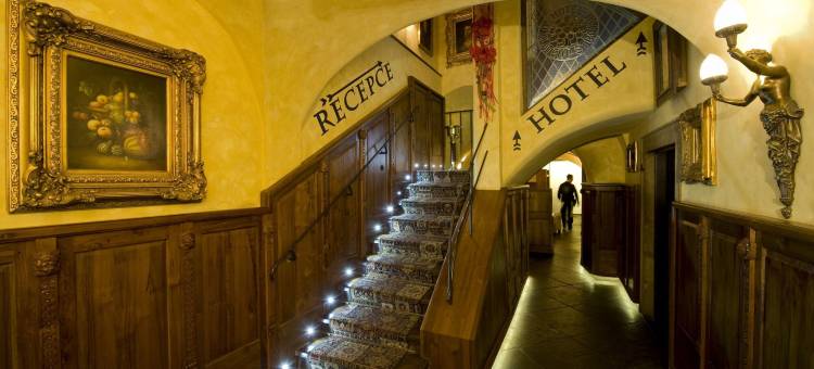 金树酒店(Hotel U Zlatého Stromu Prague by Bhg)图片