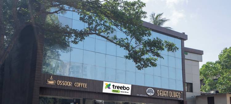 Treebo 七橄榄(Treebo Seven Olives)图片