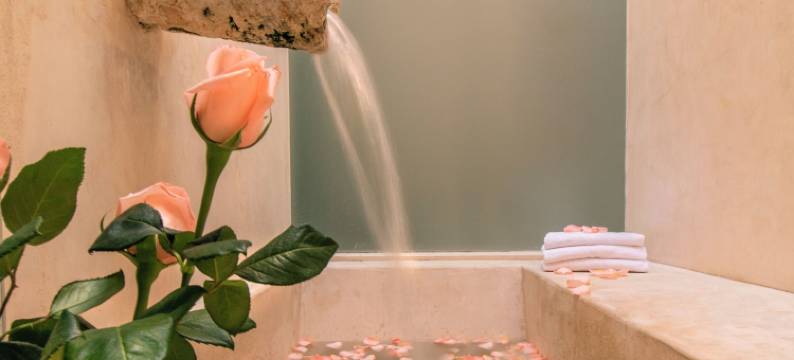 梅尼达玫瑰与巧克力酒店 - 设计酒店会员(Rosas & Xocolate Boutique Hotel and Spa Merida, a Member of Design Hotels)图片