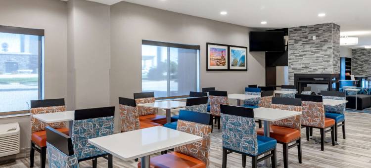 舒适套房酒店(Comfort Inn & Suites)图片