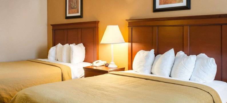 路易斯维尔品质酒店 MS(Quality Inn Louisville MS)图片