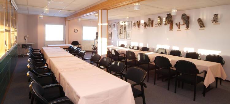 帕拉斯拉普兰酒店(Lapland Hotels Pallas)图片