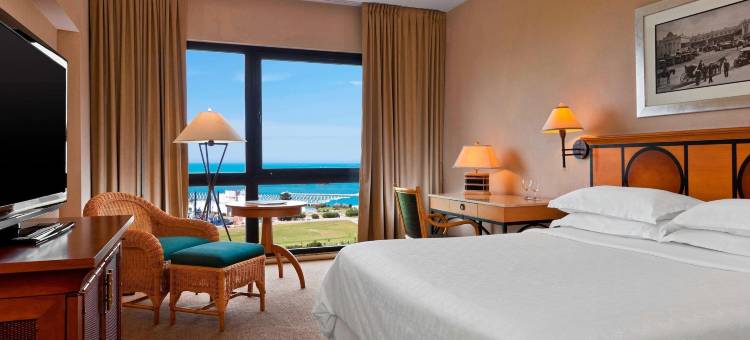 马德普拉塔喜来登酒店(Sheraton Mar del Plata Hotel)图片
