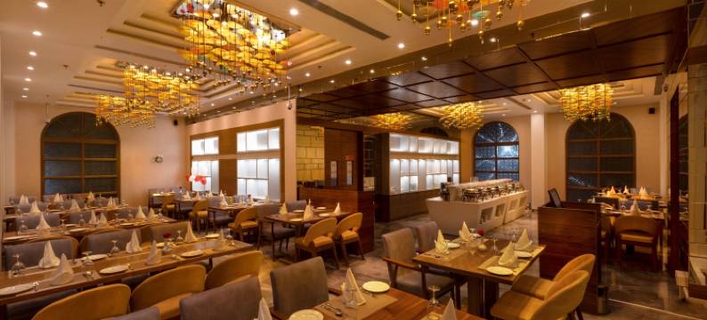 纳斯科MBC城堡酒店(Hotel Mbc Citadel Nashik)图片