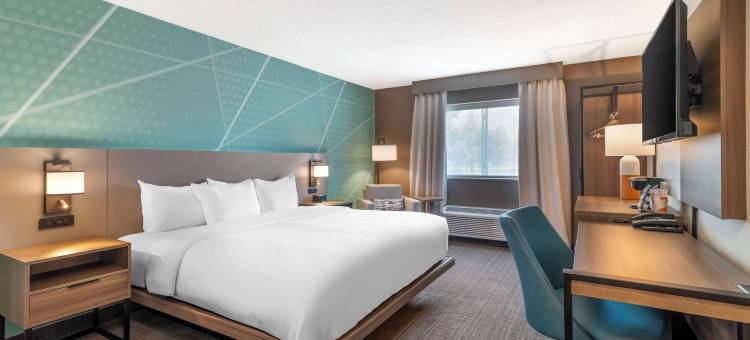 舒适酒店及套房-萨拉托加斯普林斯(Comfort Inn & Suites Saratoga Springs)图片