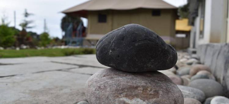 雪松营地(Camp Cedar)图片