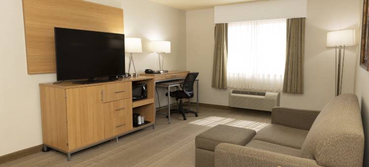 Holiday Inn 斯皮尔菲什的会展中心(Holiday Inn SPEARFISH-CONVENTION CENTER by IHG)图片