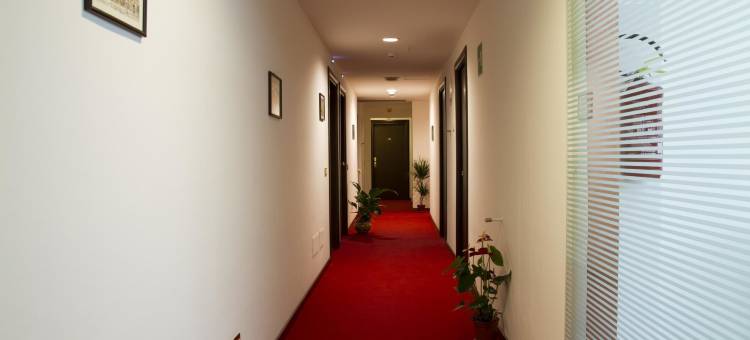 卡塔尼亚城镇酒店(Hotel Catania Town)图片