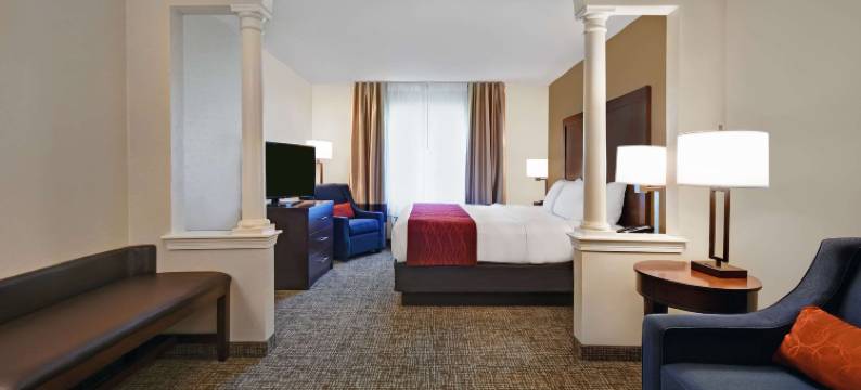 威尔顿舒适套房酒店(Comfort Inn & Suites)图片