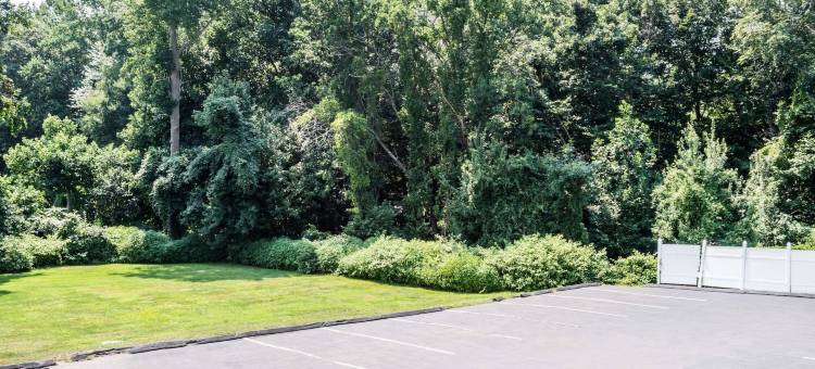 速韦瑟布鲁克速8酒店(Super 8 by Wyndham Old Saybrook)图片