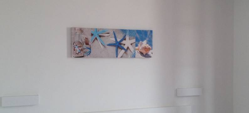 伊尔皮拉塔酒店(Hotel Il Pirata)图片