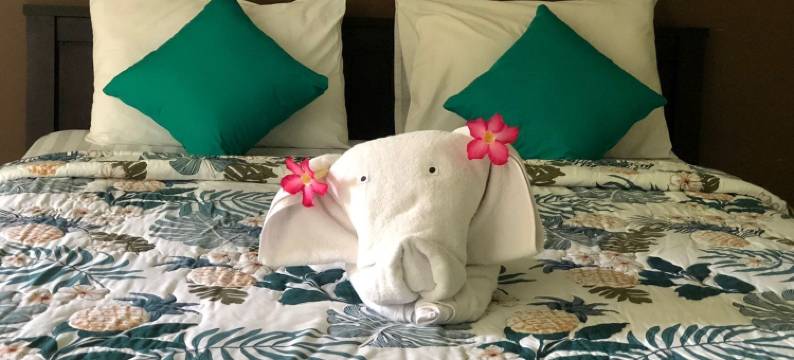 美帝家庭旅馆(Medori Putih Homestay)图片