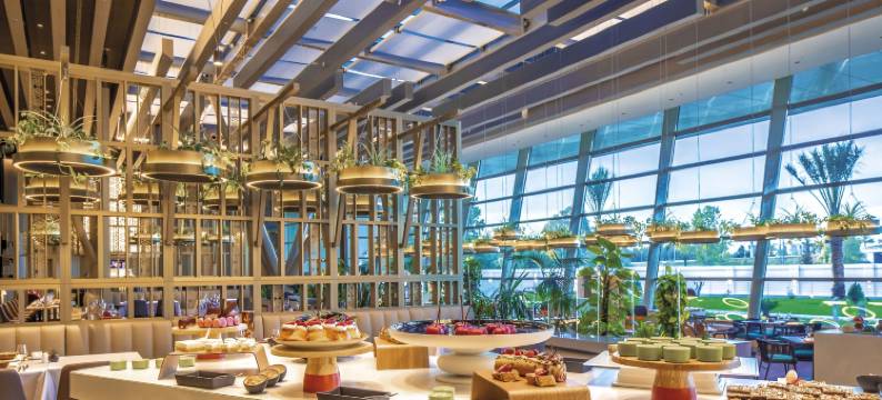 阿尔及尔机场凯悦酒店(Hyatt Regency Algiers Airport)图片