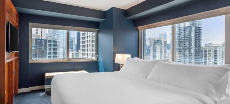 芝加哥欧姆尼酒店(Omni Chicago Hotel)图片