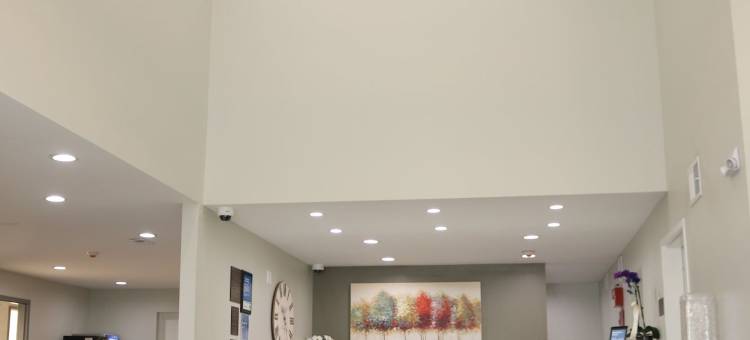 舒适酒店(Comfort Inn)图片