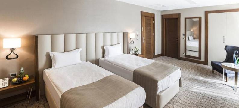 萨卡里亚温德姆华美达酒店(Ramada by Wyndham Sakarya)图片