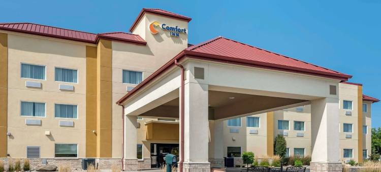 舒适酒店(Comfort Inn)图片