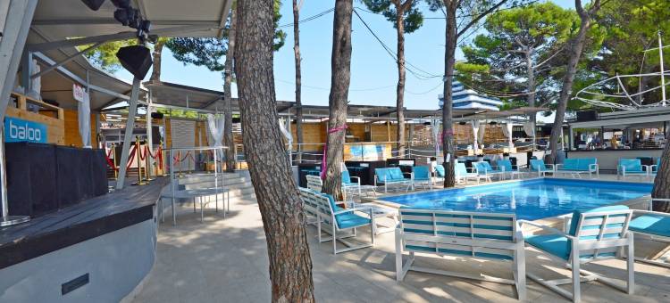伊威卡公寓酒店(Rooms Ivica Vodice)图片