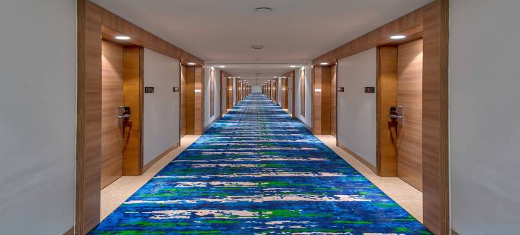 古尔冈90区假日酒店(Holiday Inn Gurugram Sector 90)图片