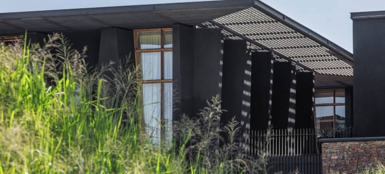 塞伦盖蒂探险者(Serengeti Explorer)图片