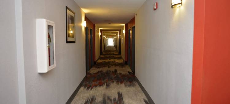 最佳西方PLUS酒店-卡罗尔顿(Comfort Inn & Suites Carrollton)图片