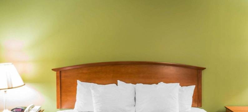 伊克诺旅馆诺克斯维尔北(Econo Lodge North)图片