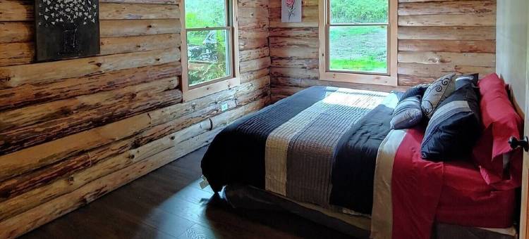 Hilltop Chalet with an Unforgettable Valley View. 13 minutes from Ellicottville!图片