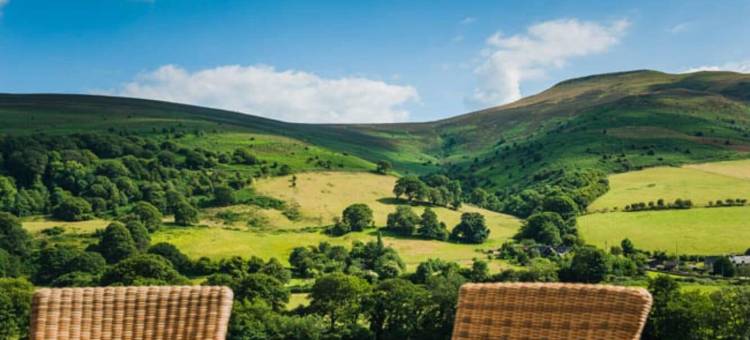 西岭公寓(The Celyn)图片