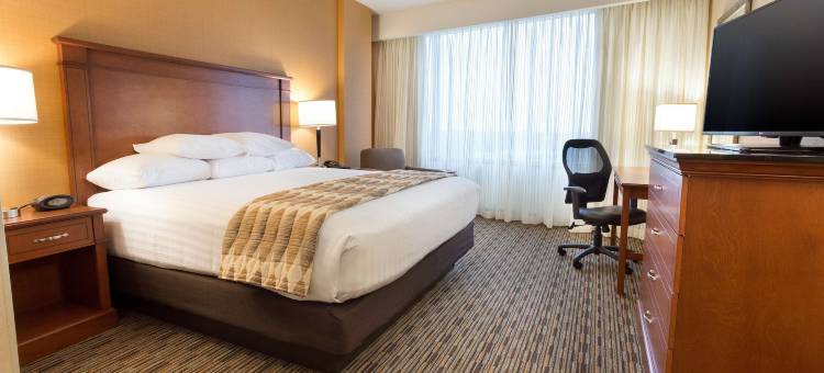 印第安纳波利斯-卡梅尔德鲁里广场酒店(Drury Plaza Hotel Indianapolis Carmel)图片