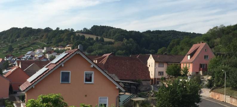 老玫瑰宾馆酒店(Alte Rose Gasthaus)图片