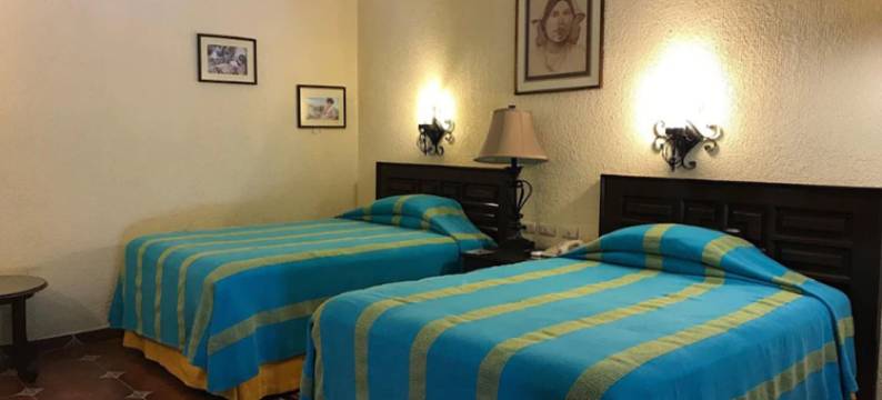 瓦雷斯酒店(Hotel Valles)图片