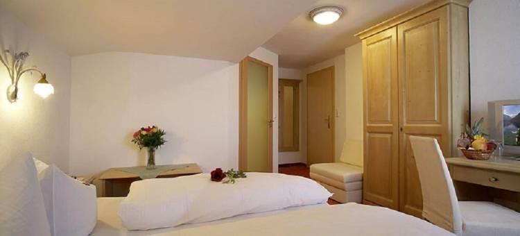 艾鹏尔恩贝格酒店(Alpenhotel Ernberg)图片