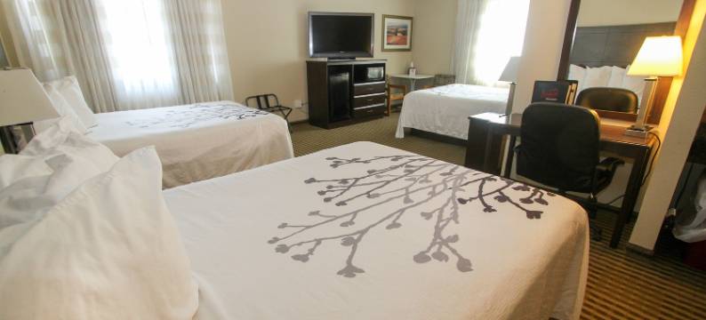 包曼套房酒店(Bowman Inn and Suites)图片