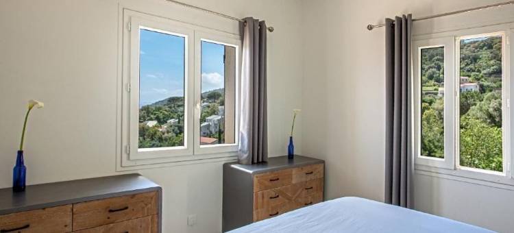 维塔诺瓦(Vita Nova)图片